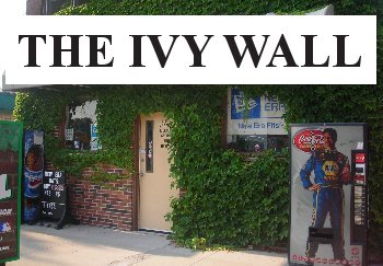 The Ivy Wall